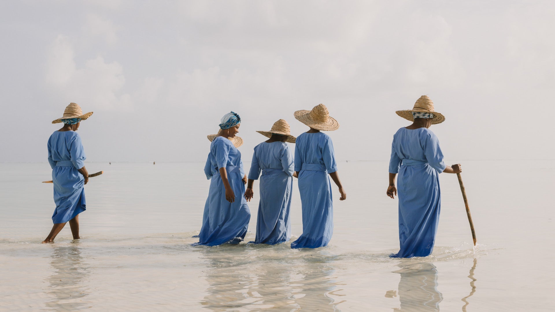 Mwani Zanzibar Mamas walking in the ocean together with seaweed farming tools in hand.