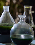 3 glass bottles with liquefied seaweed within them.