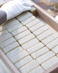 Batch of crafted Mwani Zanzibar’s Macroalgae & Lemongrass Soap.