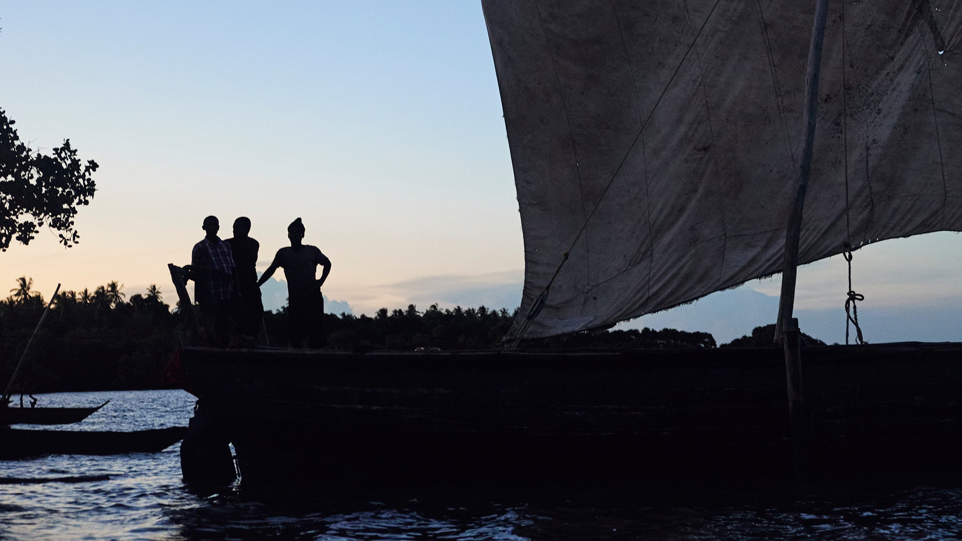 Traditional sailboats, with sailors at dawn.