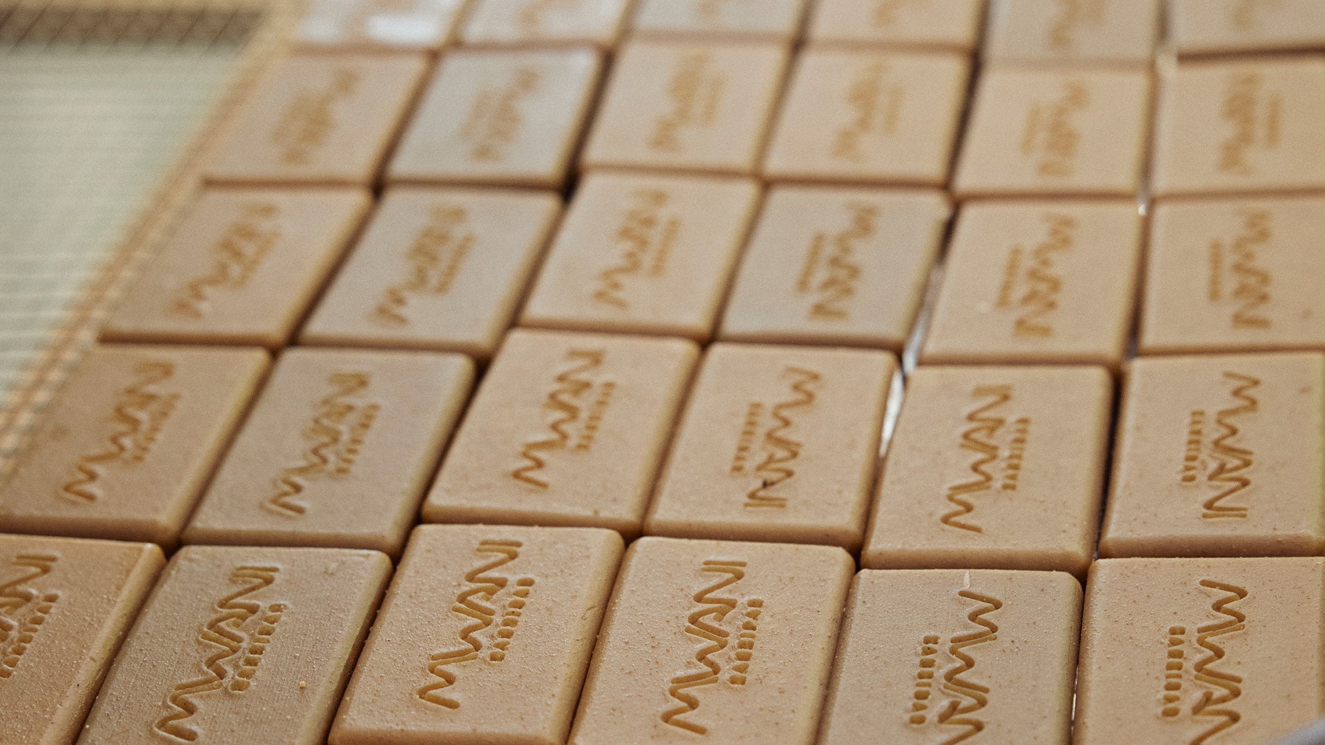 Rack of Mwani Zanzibar Macroalgae, Cinnamon, and Turmeric soap bars.