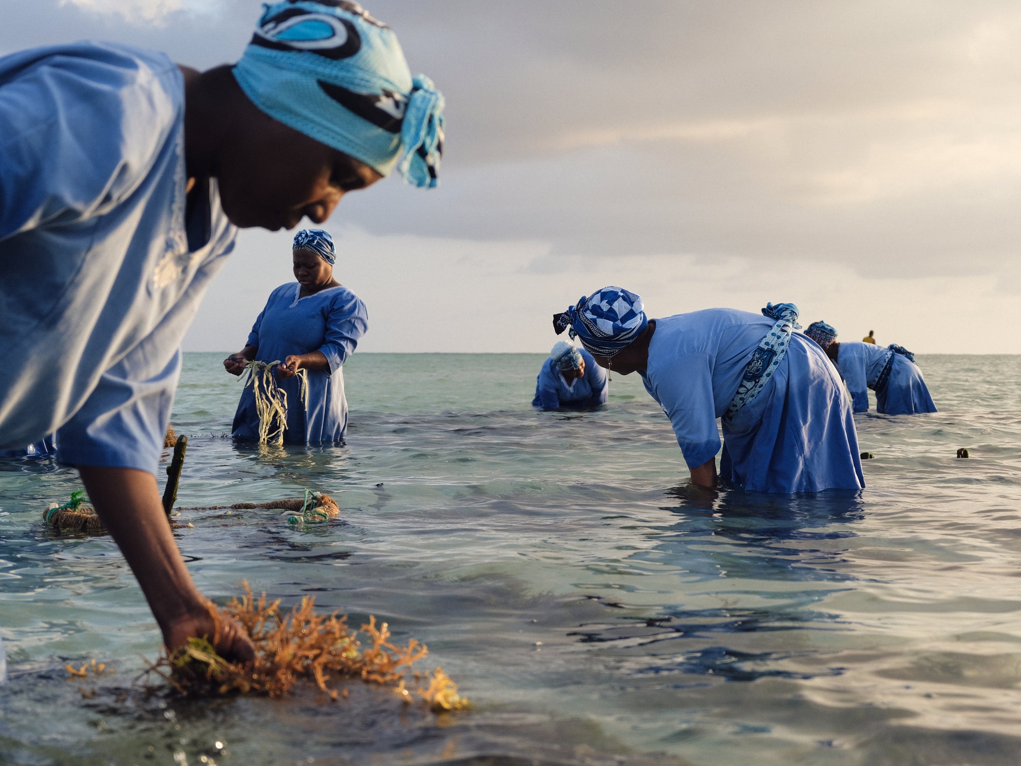 Mwani Zanzibar Tour